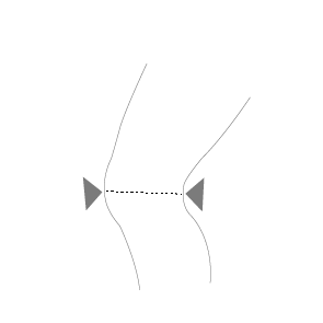 measure